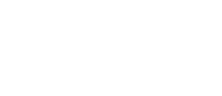 Roamii